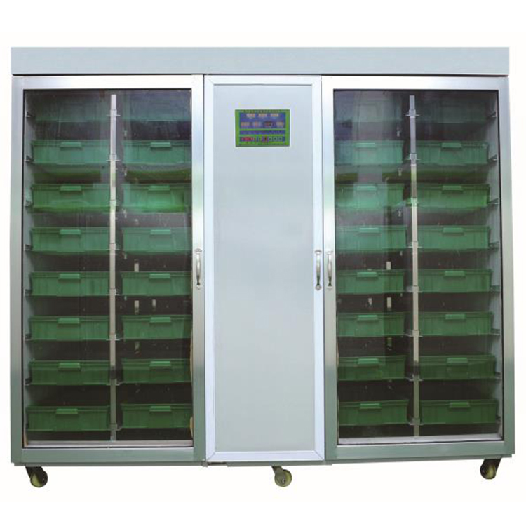 Indoor Hydroponic Bean Garlic  - Hydroponic System ulasan dan harga
