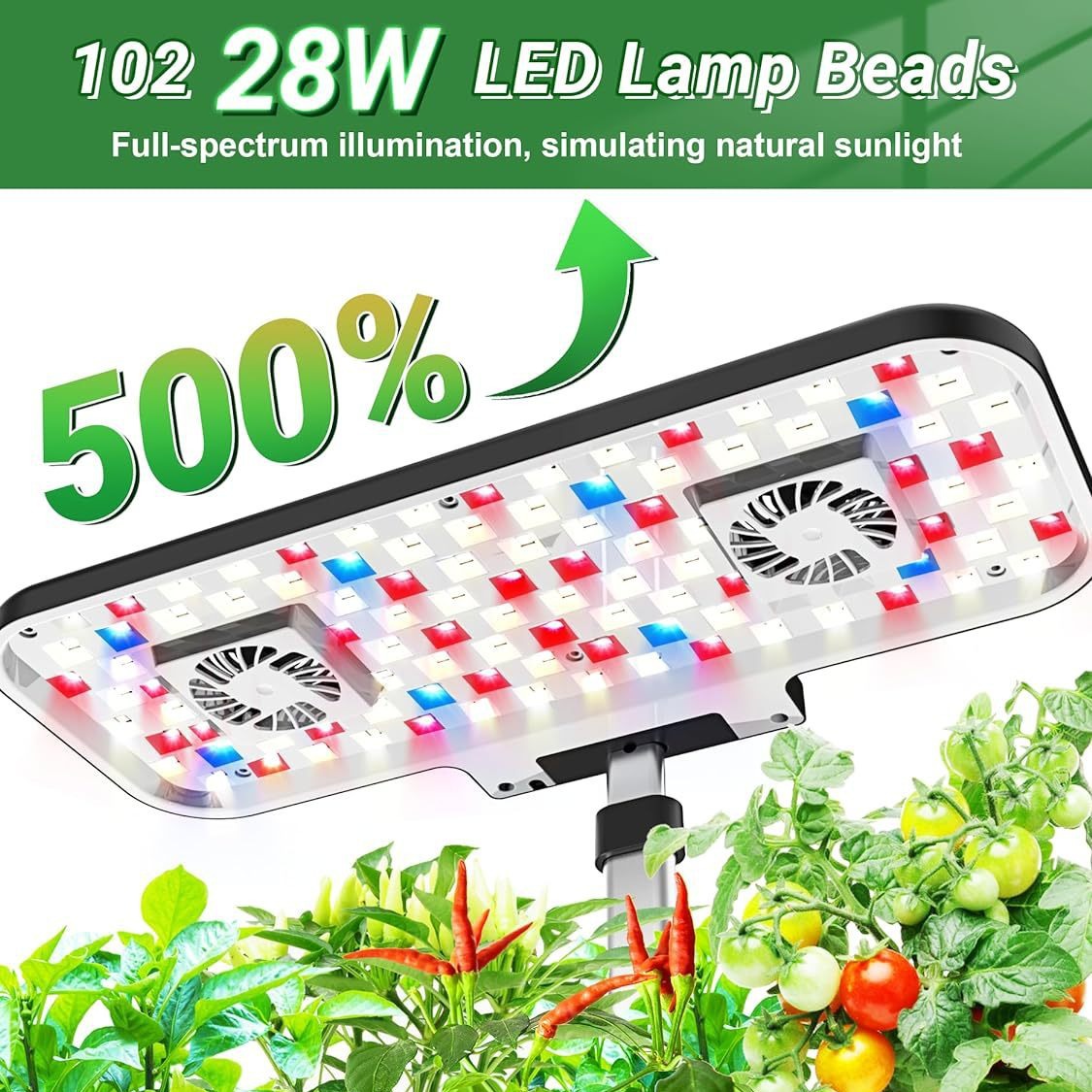 Multi-function Planting System - Hydroponic System ulasan dan harga