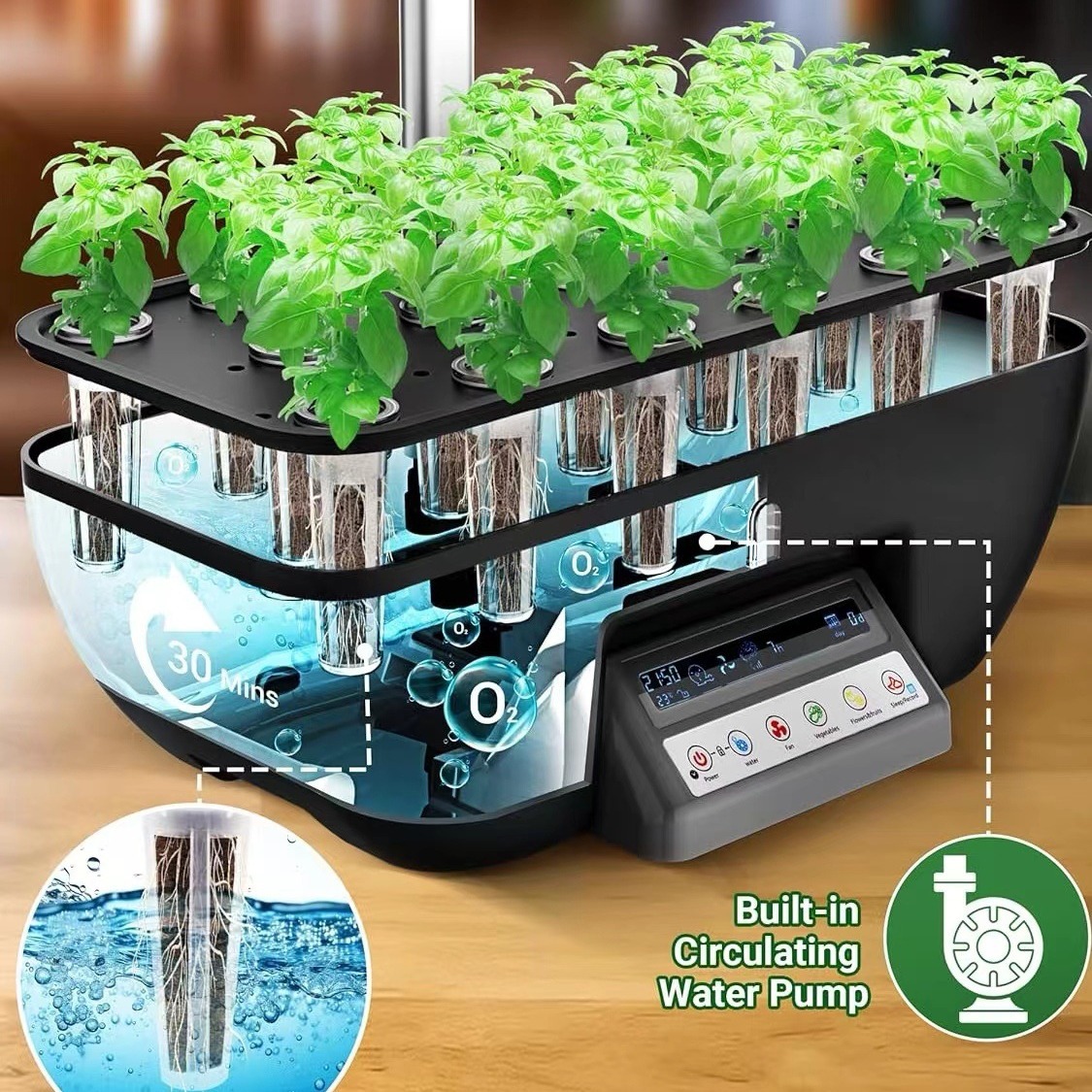 Multi-function Planting System - Hydroponic System ulasan dan harga
