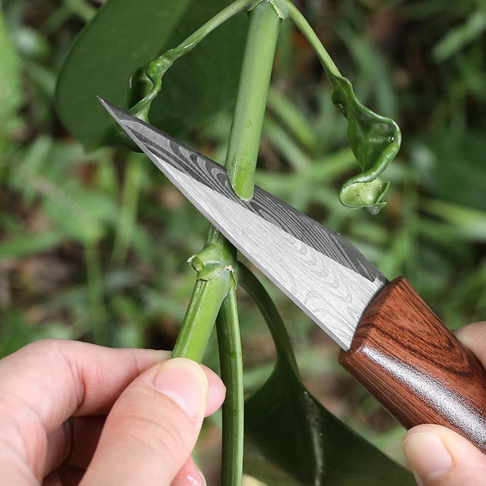 Sharp Grafting Knife with Wood - Harvest Knife Garden ulasan dan harga