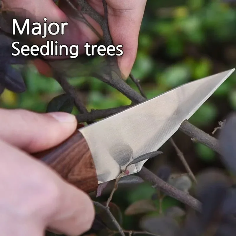 Wooden Handle Grafting Knife w - Harvest Knife Garden ulasan dan harga