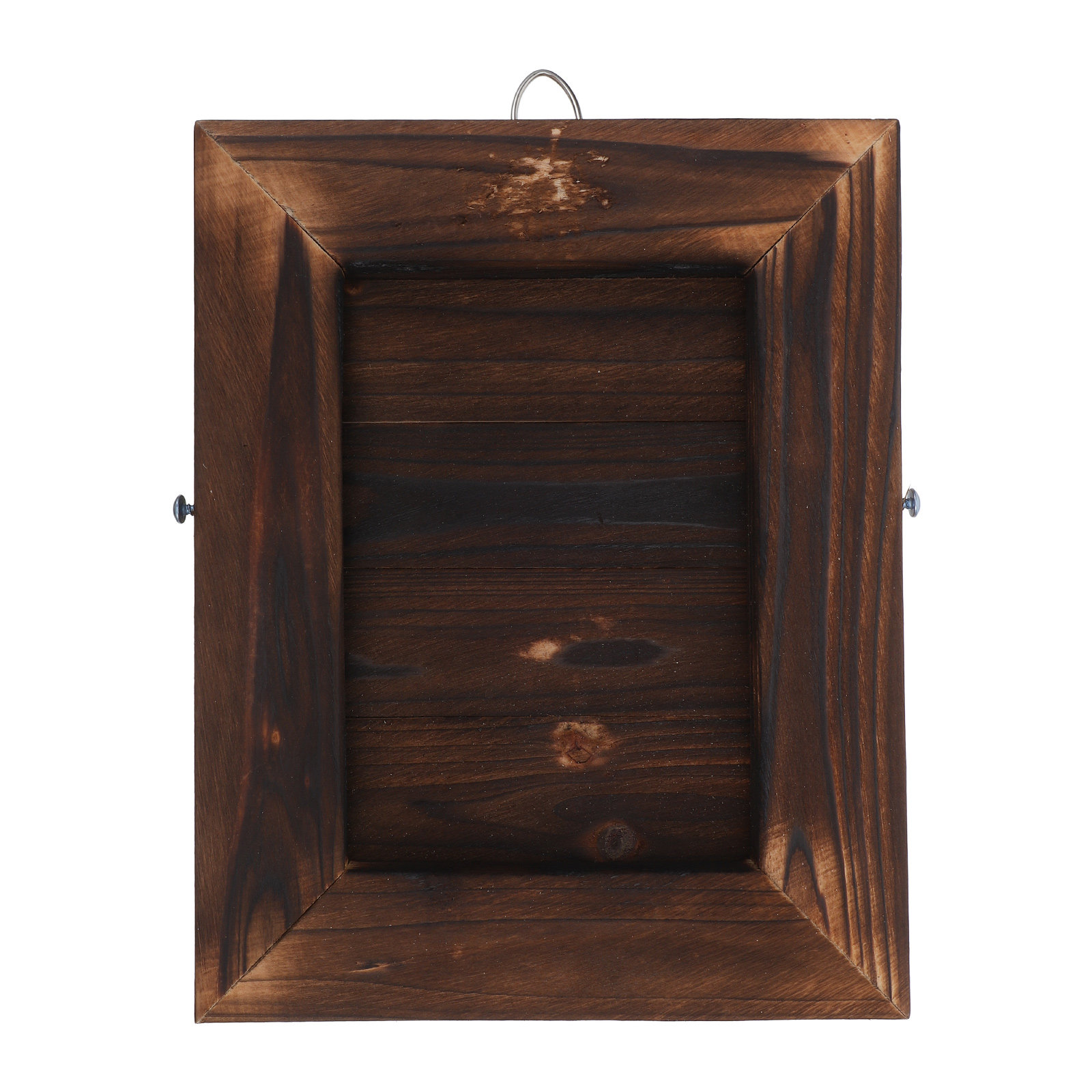 Stag Horn Fern Mount Wall Plan - Vertical Wall Planter ulasan dan harga