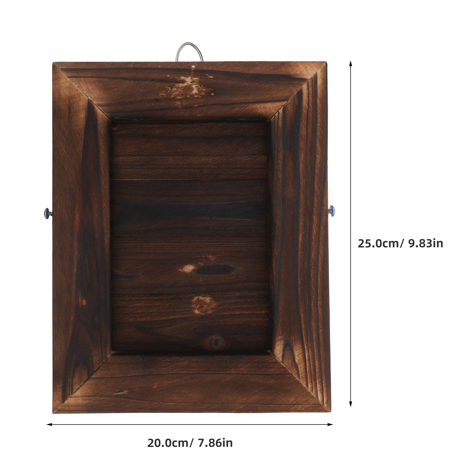 Stag Horn Fern Mount Wall Plan - Vertical Wall Planter ulasan dan harga