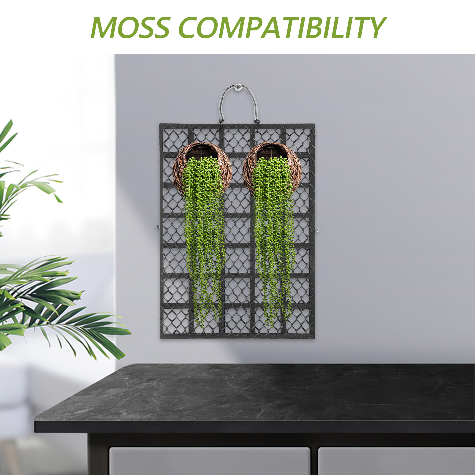 Staghorn Fern Rustic Wall Moun - Vertical Wall Planter ulasan dan harga
