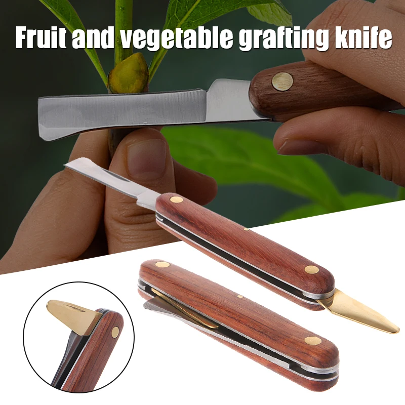 Grafting Tools Foldable Prunin - Harvest Knife Garden ulasan dan harga