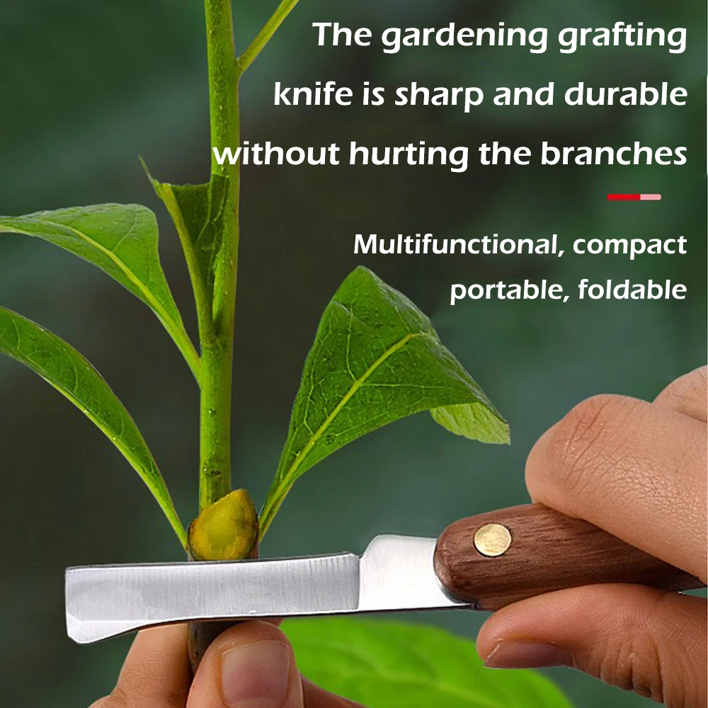 Grafting Tools Foldable Prunin - Harvest Knife Garden ulasan dan harga