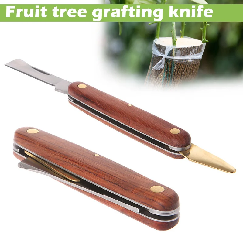 Grafting Tools Foldable Prunin - Harvest Knife Garden ulasan dan harga