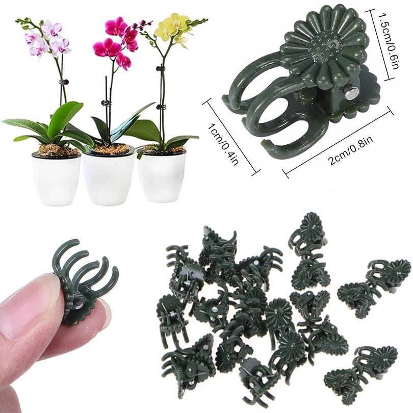 20/50/100PCS Plant Clips Vine  - Gardening Tools Usa ulasan dan harga