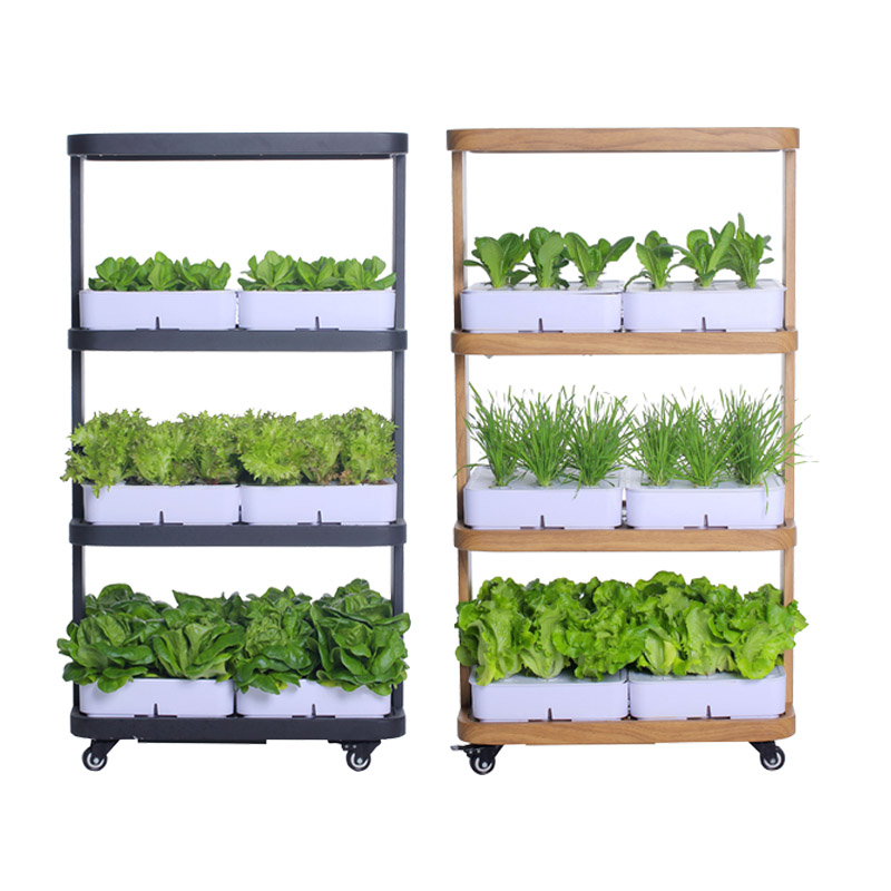 72 Holes 6 Planting Boxes LED  - Hydroponic System ulasan dan harga
