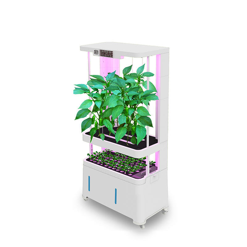High-Tech Intelligent Hydropon - Hydroponic System ulasan dan harga