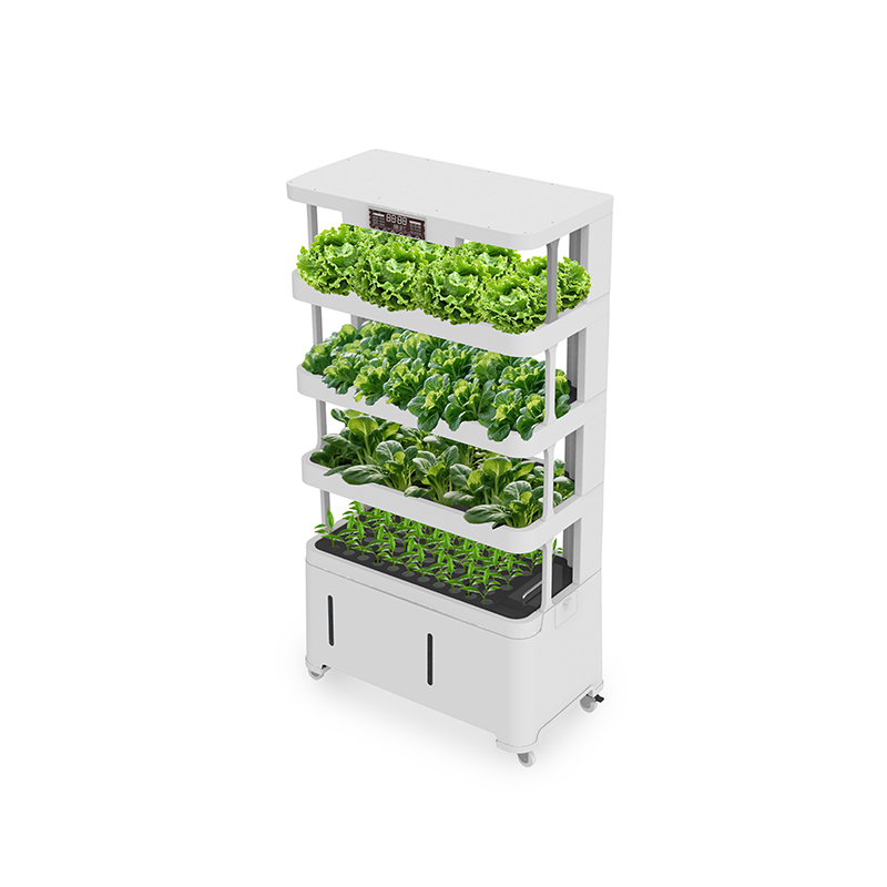 High-Tech Intelligent Hydropon - Hydroponic System ulasan dan harga