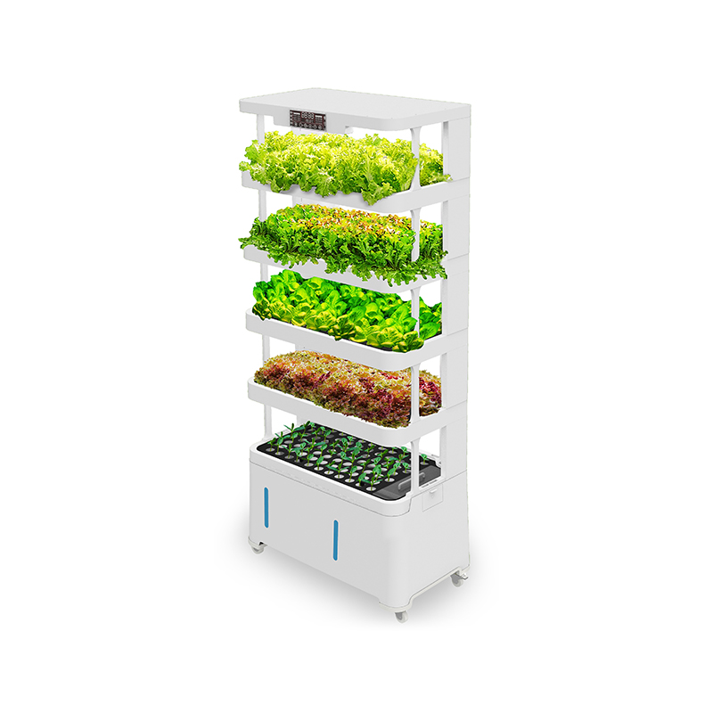 High-Tech Intelligent Hydropon - Hydroponic System ulasan dan harga