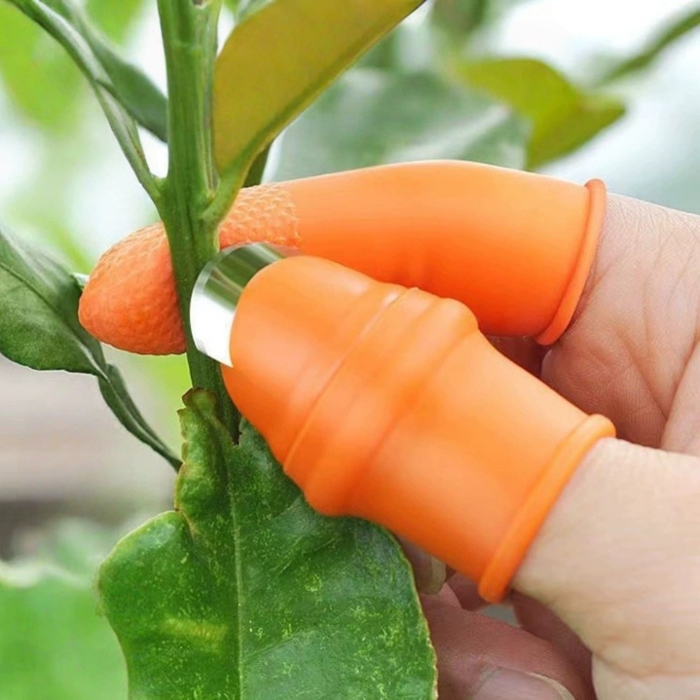 Vegetable Picking Stainless St - Harvest Knife Garden ulasan dan harga