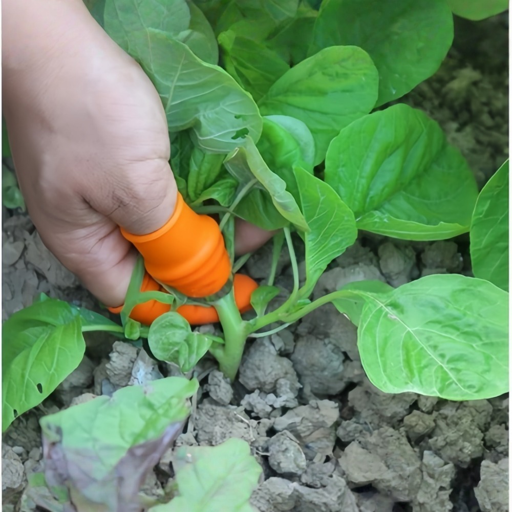 Vegetable Picking Stainless St - Harvest Knife Garden ulasan dan harga